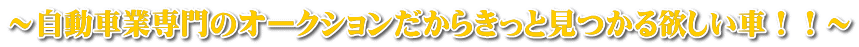 ～自動車業専門のオークションだからきっと見つかる欲しい車！！～